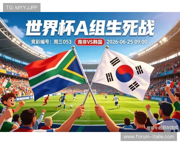 南非球迷现场观赛韩国队比赛盛况全纪录
